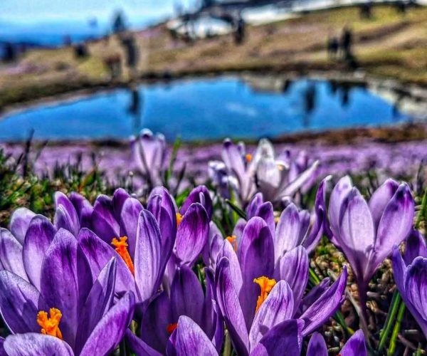 VP 669472055_18573772441051069_9023067832524915141_n